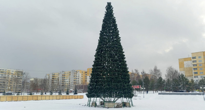 На Светотехстрое в Саранске украшают 18-метровую новогоднюю ель
