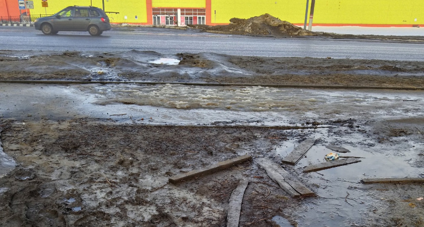 Жители Саранска массово жалуются на грязь в городе
