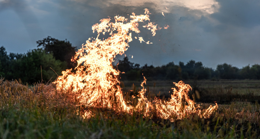 В Мордовии увеличивается число пожаров из-за травяного пала