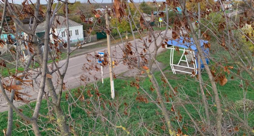  ����������� ���� �������� �������� 800 ������� �������� 