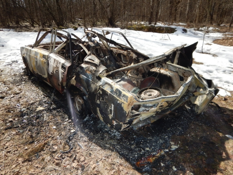 В Мордовии горе-угонщики сожгли «Жигули», которые не смогли завести