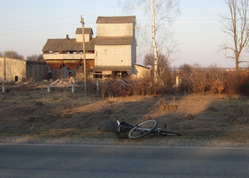 В Мордовии полицейские задержали спящего угонщика велосипеда