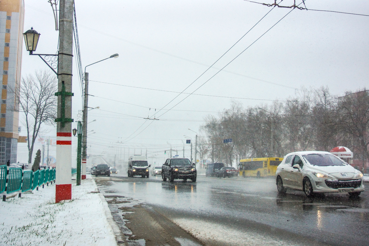 Метеоролог: «За сутки в Мордовии выпадет месячная норма осадков» 