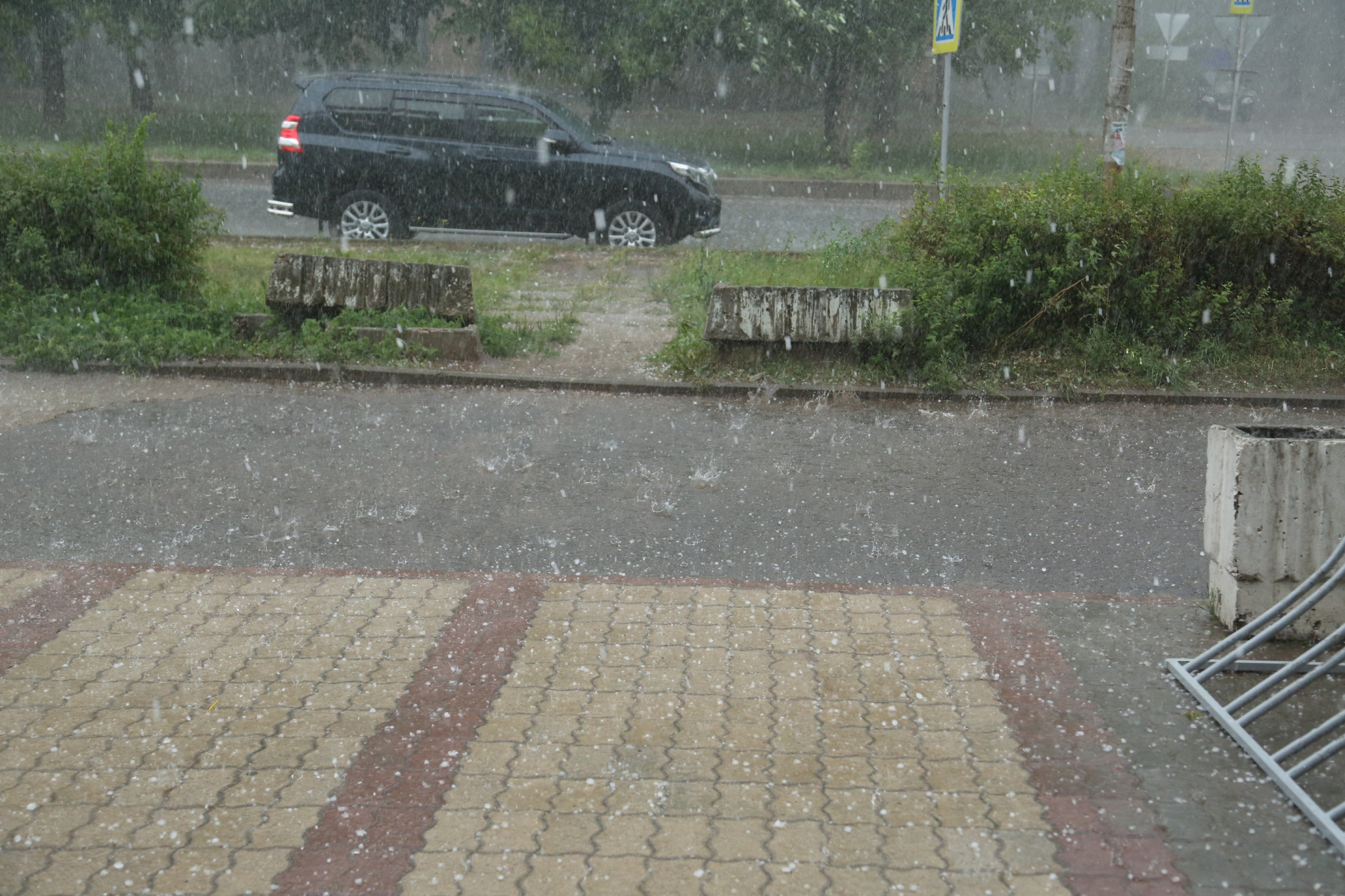 Погода в Саранске 24 апреля: ожидается дождь