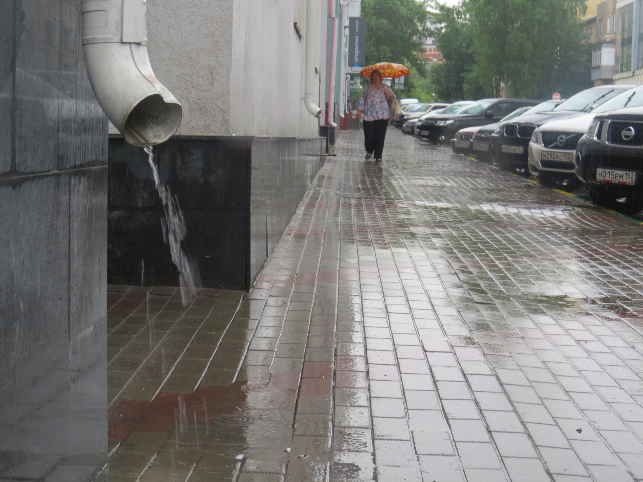 Погода в Саранске 2 июня: возможен дождь