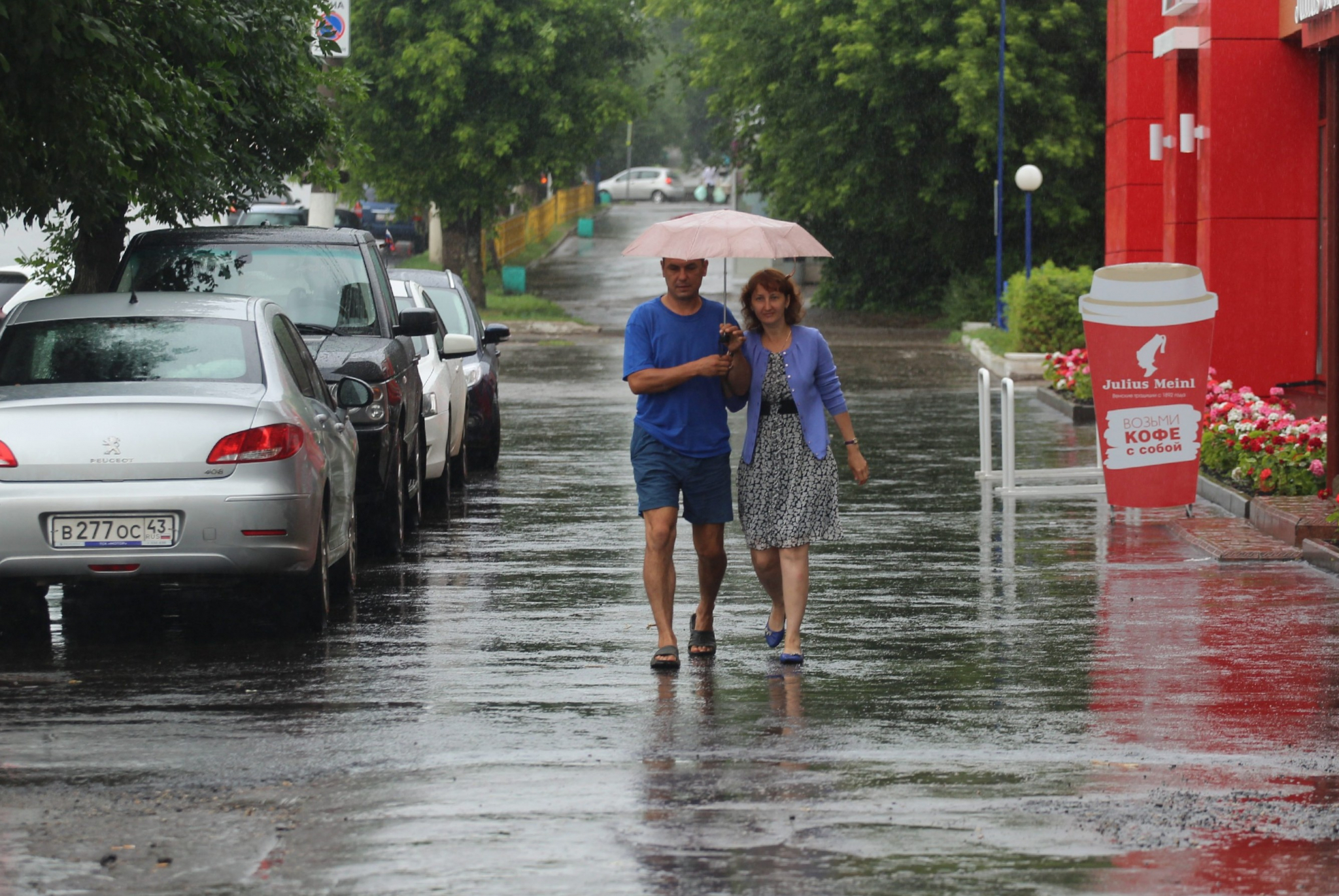 Погода в Саранске 12 июня: ожидается кратковременный дождь