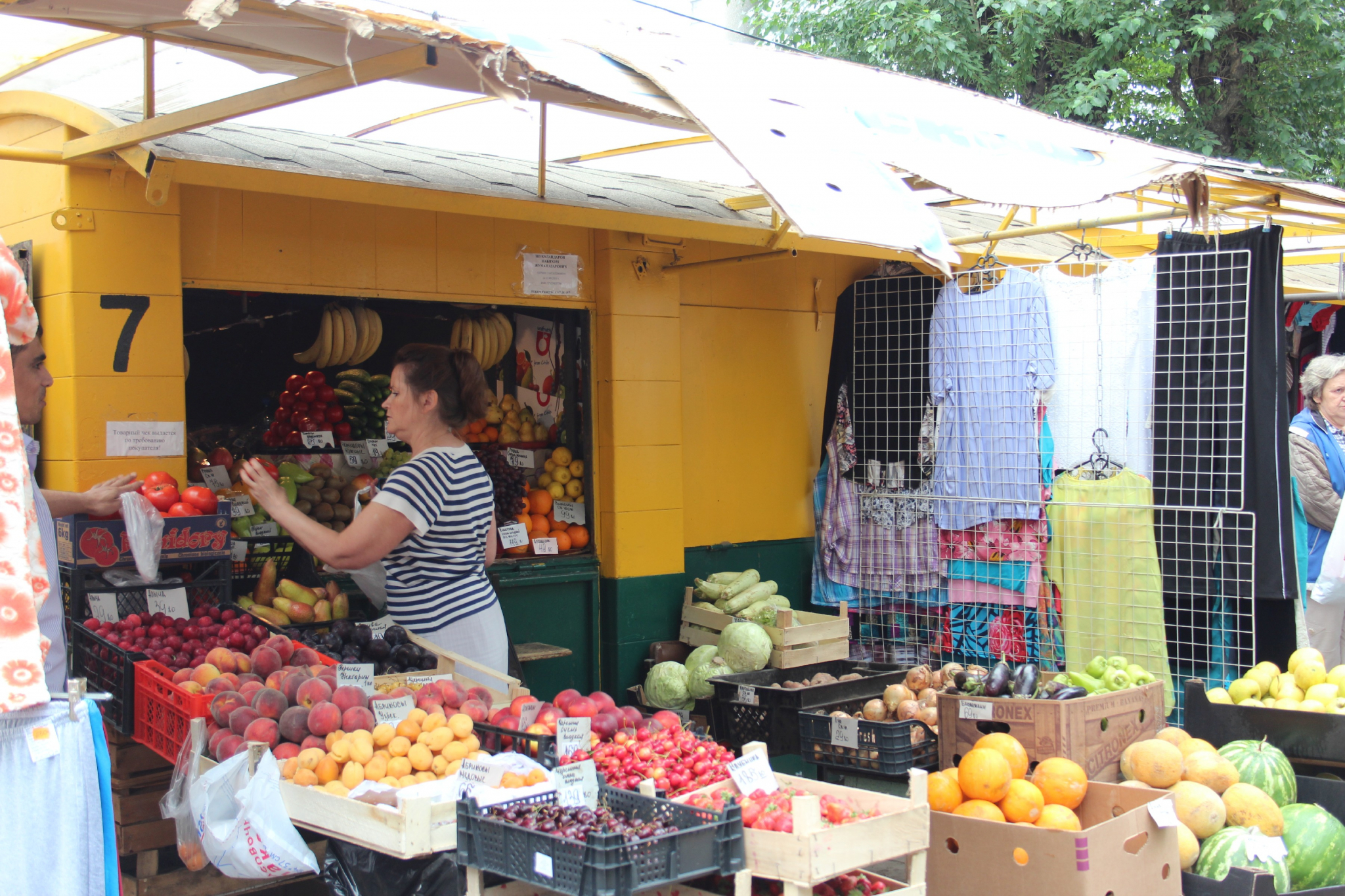 В Саранске на ярмарках под видом местной продукции продают турецкие помидоры и картофель из Египта