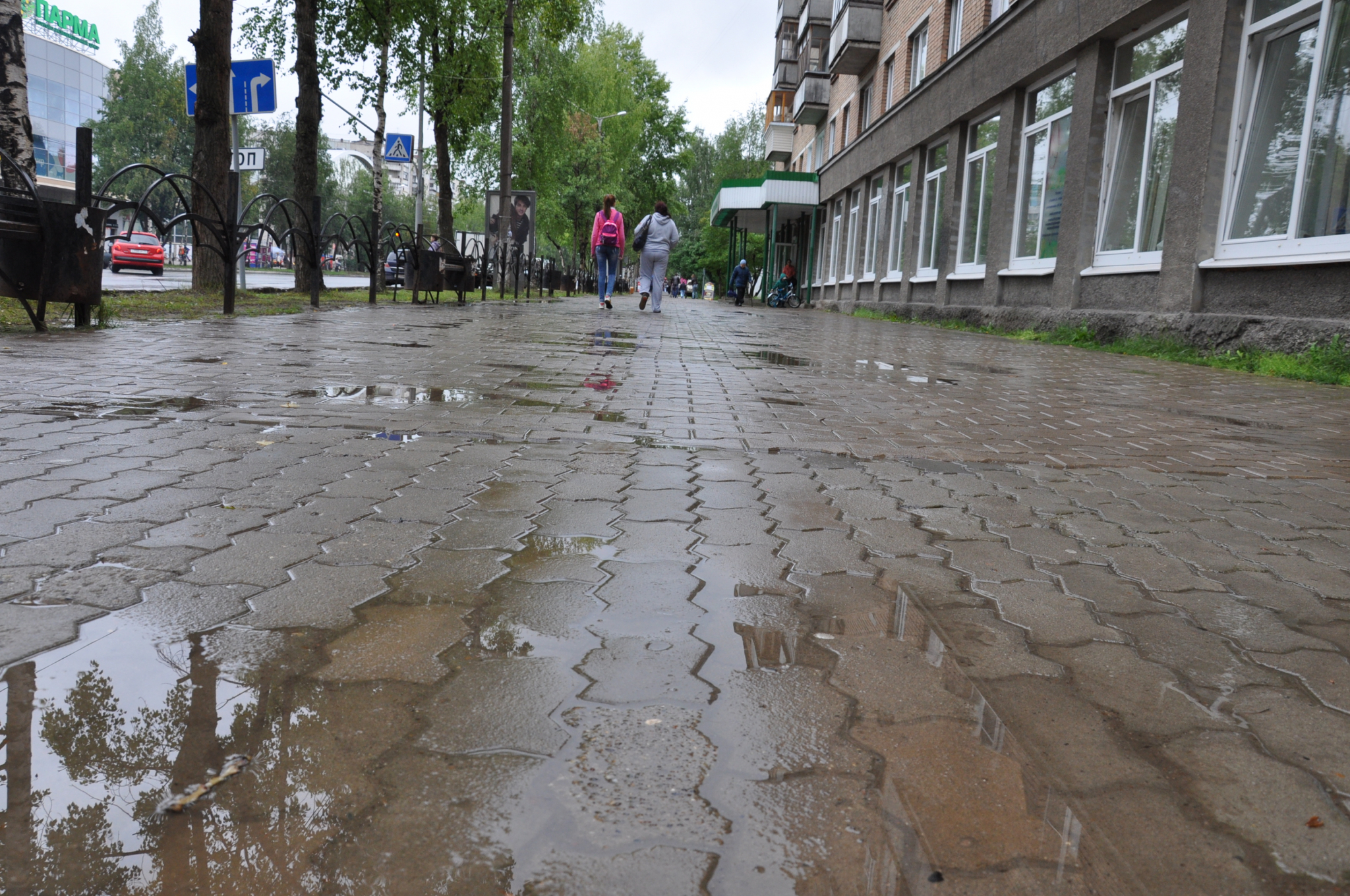 Погода в Саранске 23 июня: будет дождь