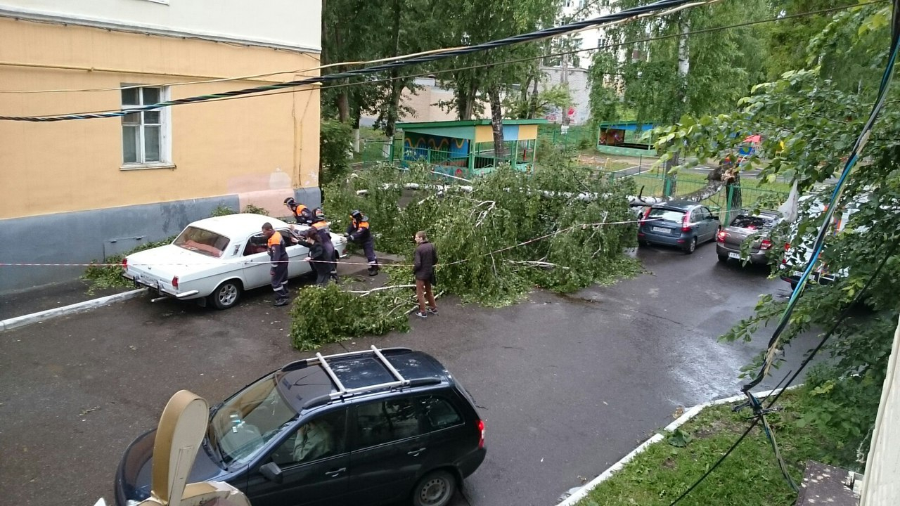 В центре Саранска береза помяла сразу три автомобиля 