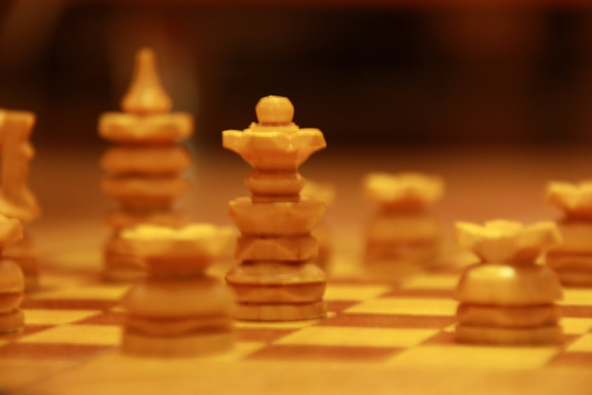 В Мордовии организуют бесплатные занятия шахматами для школьников