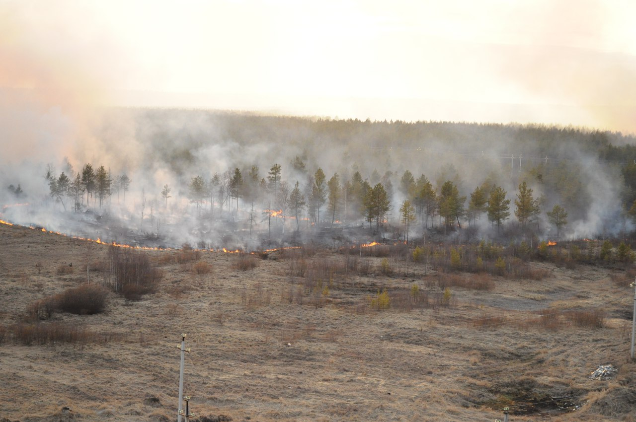 На территории Мордовии прогнозируется высокий класс пожароопасности