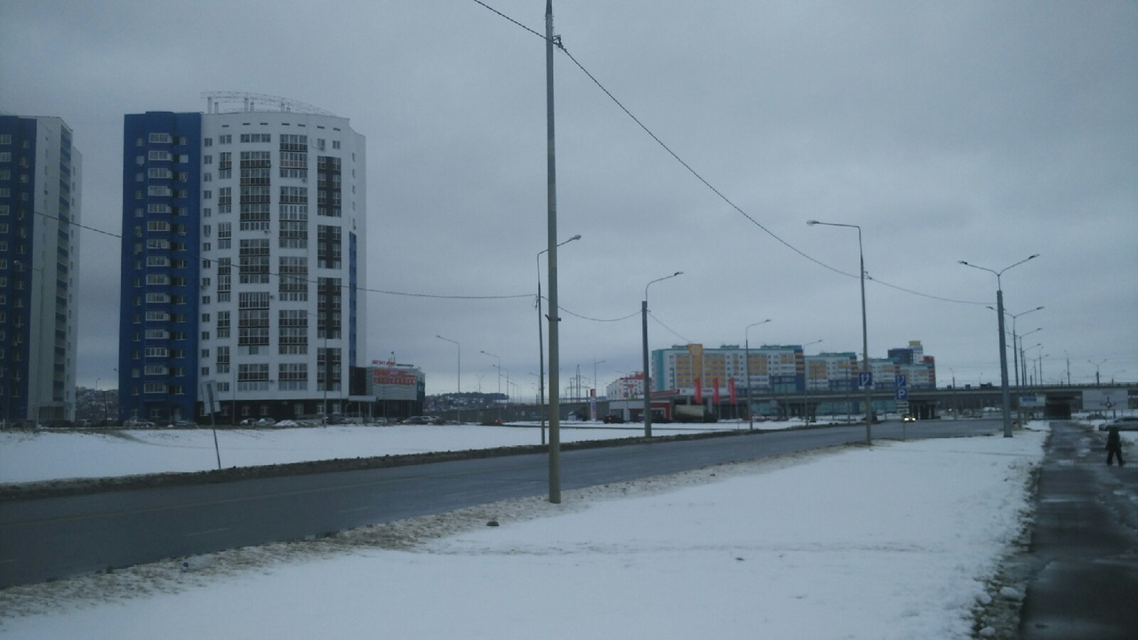 МЧС предупредило жителей Мордовии о сильном ветре и мокром снеге