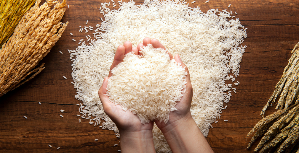 Иордания стала 20-й страной, куда «АФГ Националь» экспортирует кубанский рис при поддержке Россельхозбанка