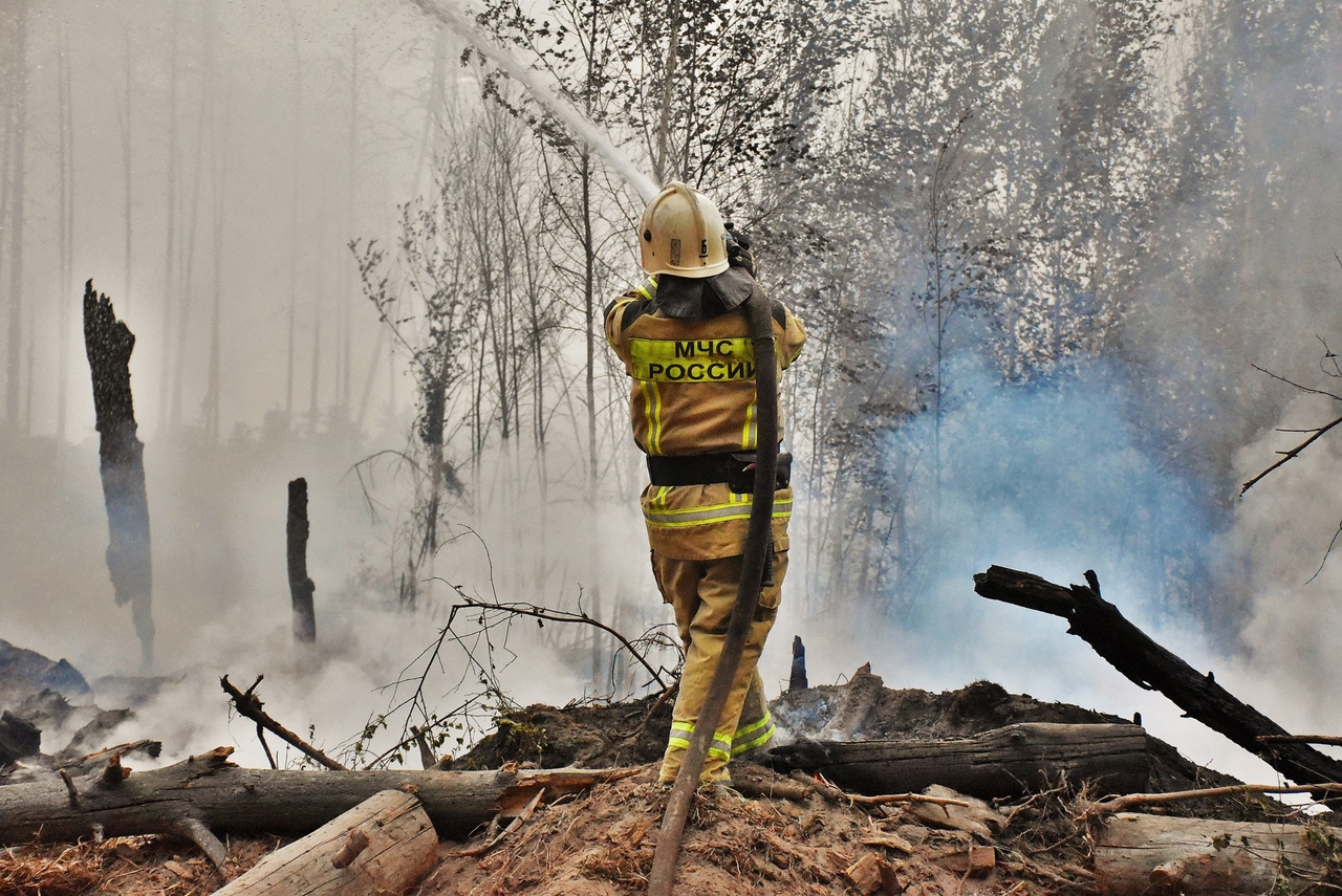 В Мордовии продолжают тушить пожар на территории заповедника им. П.Г. Смидовича
