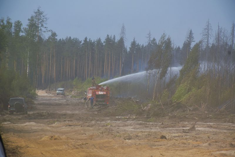 Авиация сбросила более 4 тысяч тонн воды на пламя, распространяющееся в заповеднике Мордовии
