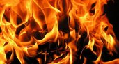 Огонь уничтожил жилой дом в Мордовии 