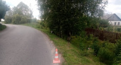 В Мордовии 34-летний мотоциклист без прав влетел в дерево и погиб