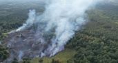 С 3 по 6 октября в Мордовии ожидается чрезвычайная пожарная опасность лесов