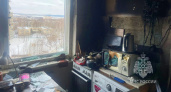 На улице Веселовского в Саранске при пожаре скончался 74-летний пенсионер