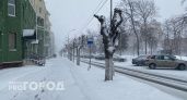 В Мордовии синоптики озвучили прогноз погоды на выходных