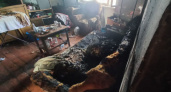 В Мордовии 10-летний мальчик играл со спичками и устроил пожар
