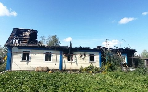 Житель Мордовии пытался потушить пожар в доме и получил сильные ожоги