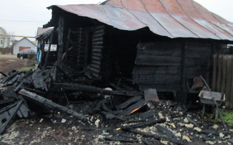 В МЧС Мордовии рассказали подробности о смертельном пожаре в Атюрьевском районе