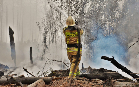 В Мордовии продолжают тушить пожар на территории заповедника им. П.Г. Смидовича