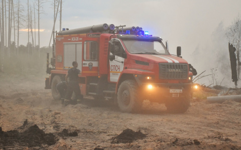 Для тушения пожара в Мордовском заповеднике будут привлечены дополнительные силы МЧС
