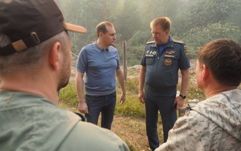 Замминистра МЧС России Николай Гречушкин высоко оценил работу Мордовии в противодействии лесным пожарам