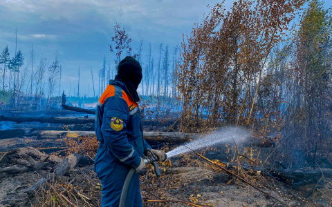 «Работа ведется круглосуточно»: В Мордовии продолжают тушить пожар в заповеднике