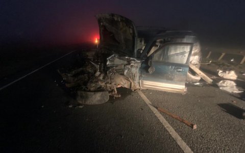 Уснувший за рулем водитель устроил тройное ДТП на трассе в Мордовии: пострадали пятеро