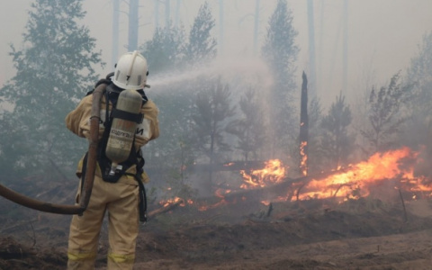 Пожары в Мордовском заповеднике привели к неожиданным итогам