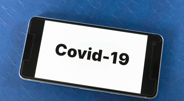        covid-19  