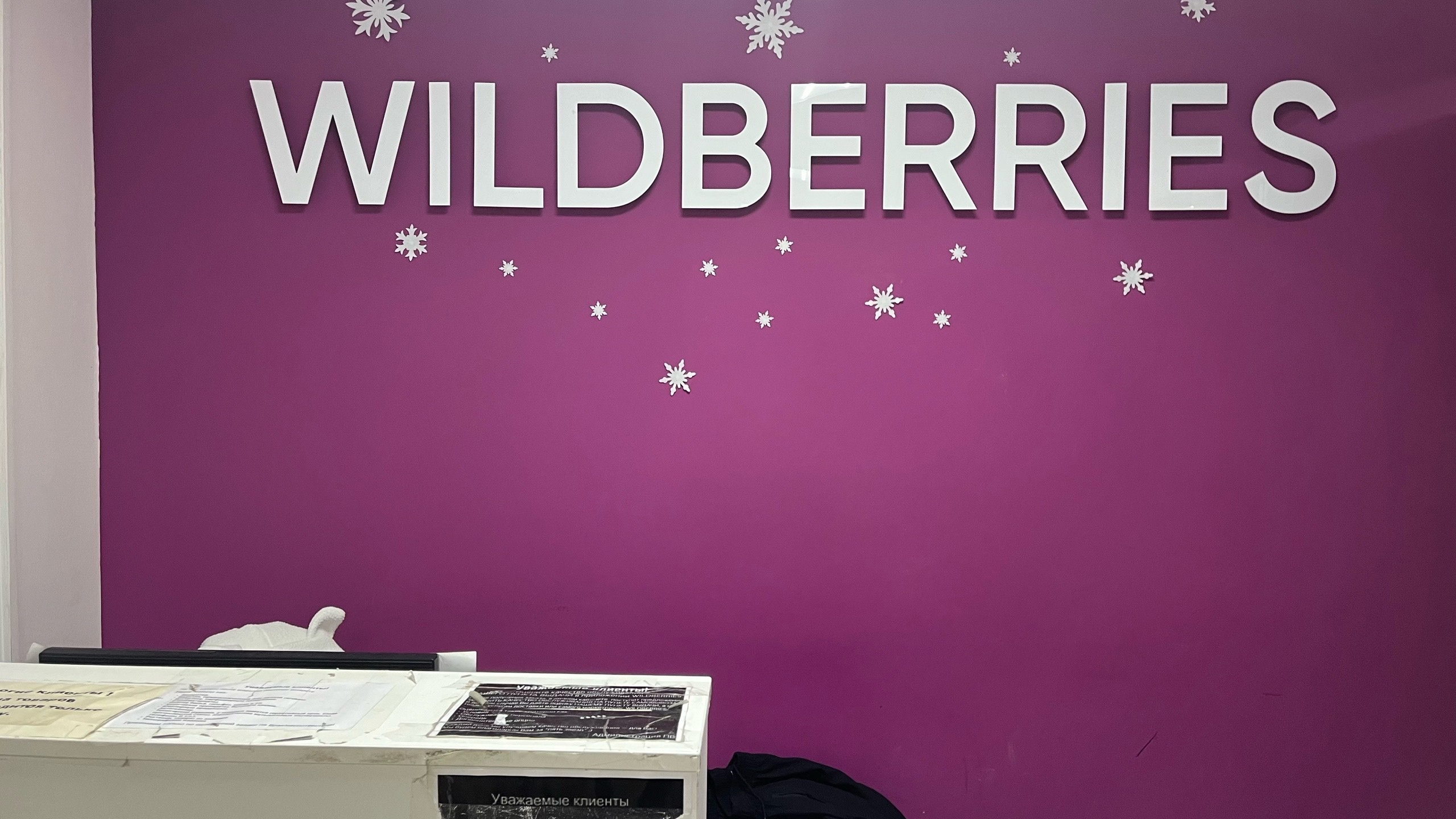    :    ,    Wildberries  Ozon