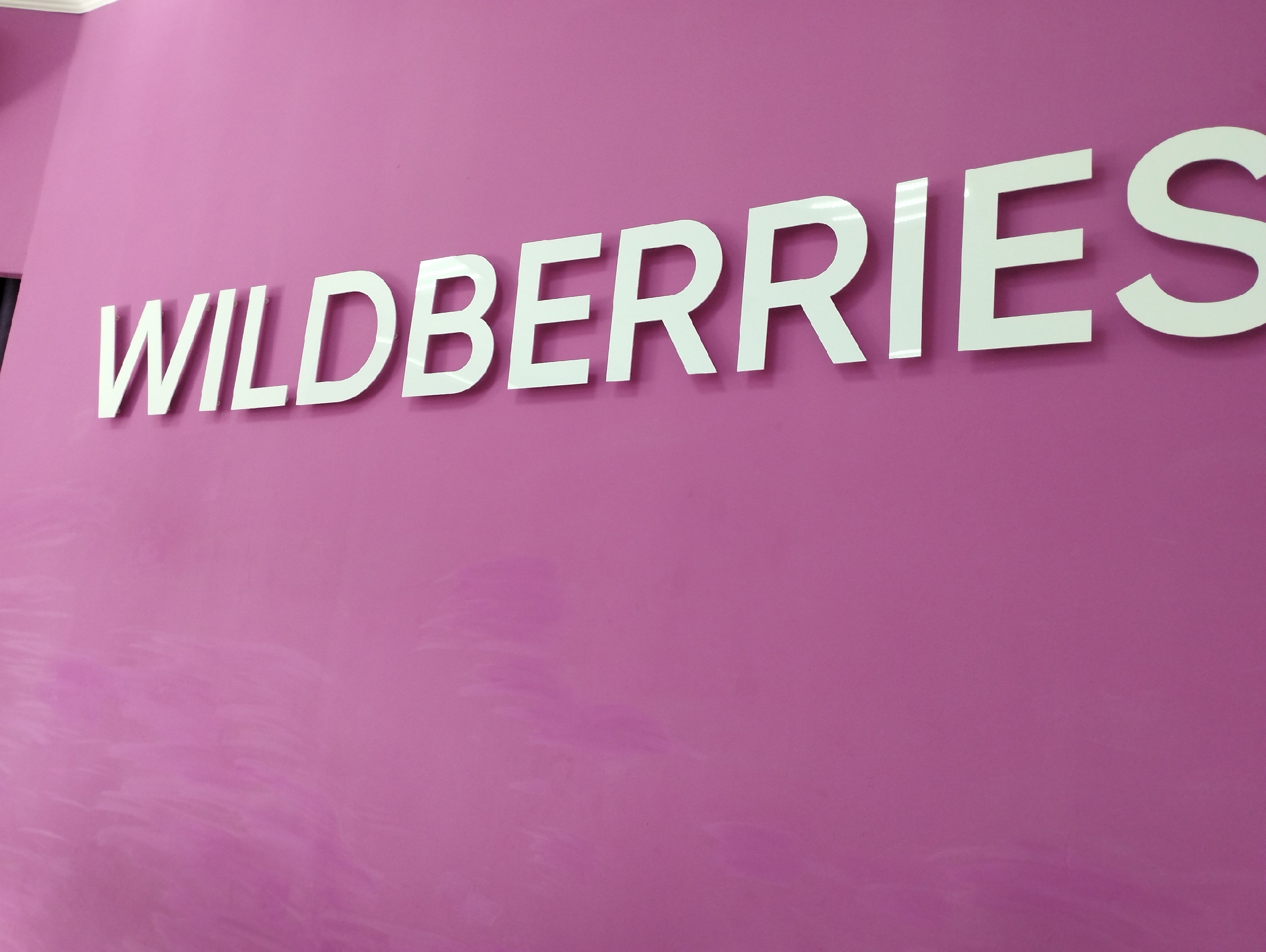     :    ,    Wildberries  Ozon