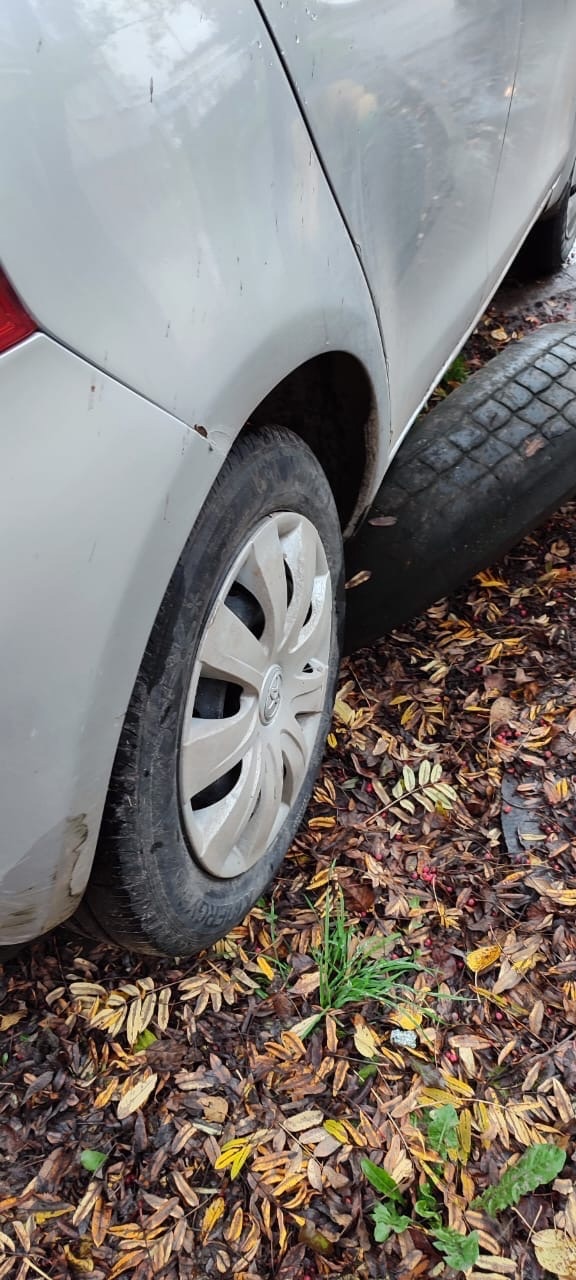 ����: pg13.ru