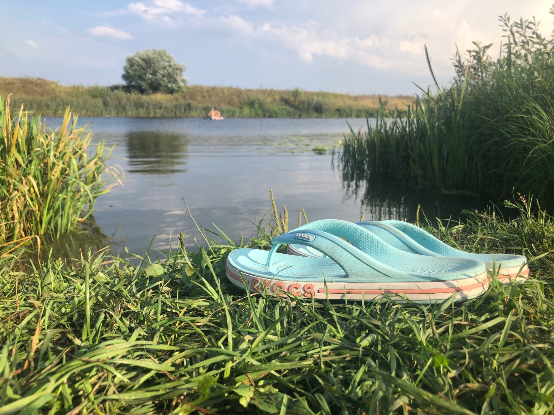  ������� �������� ������� ������ ���� ���������� ������ 