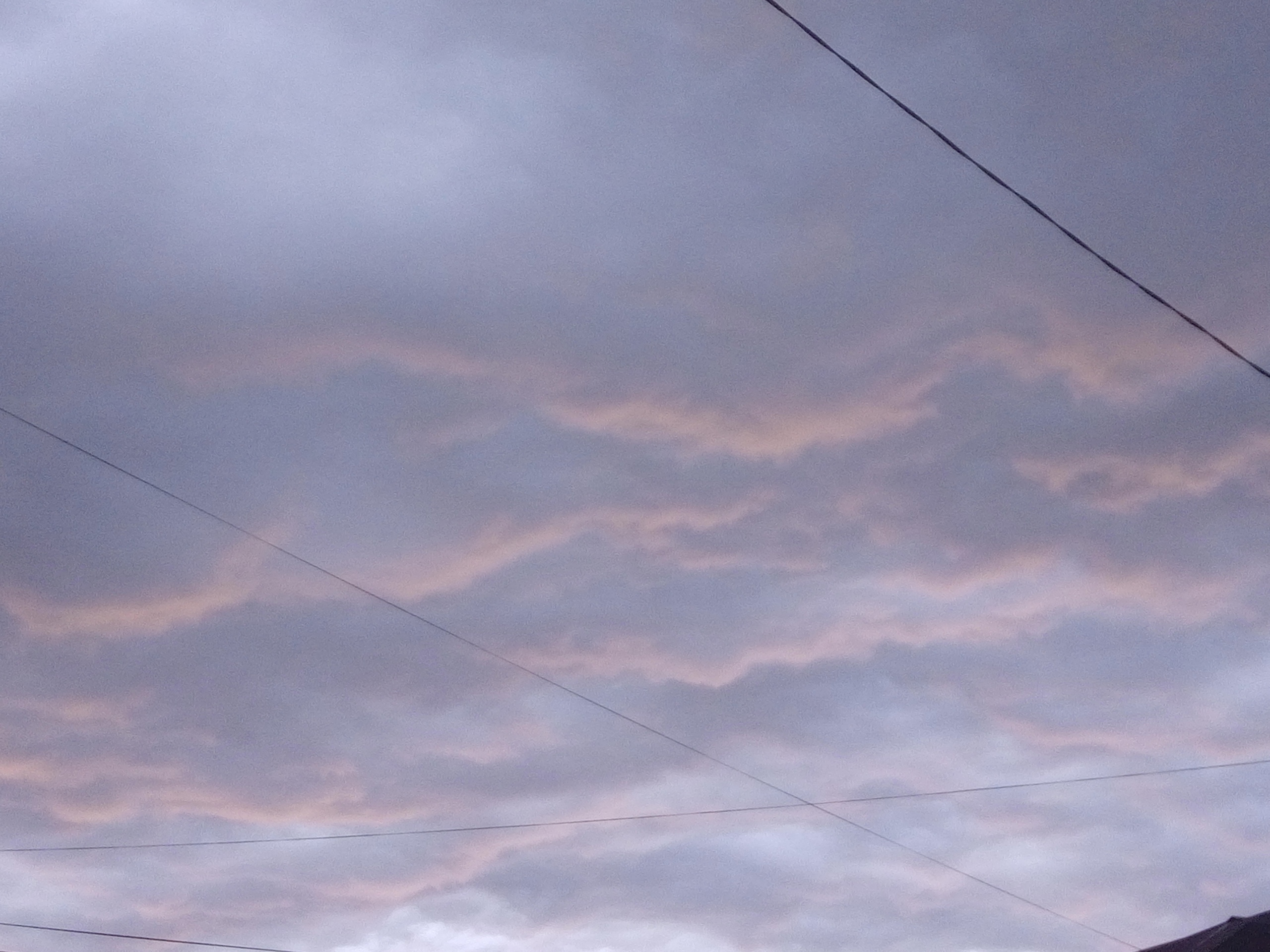  �������� �������� ����������� ��������� ������ ����� 