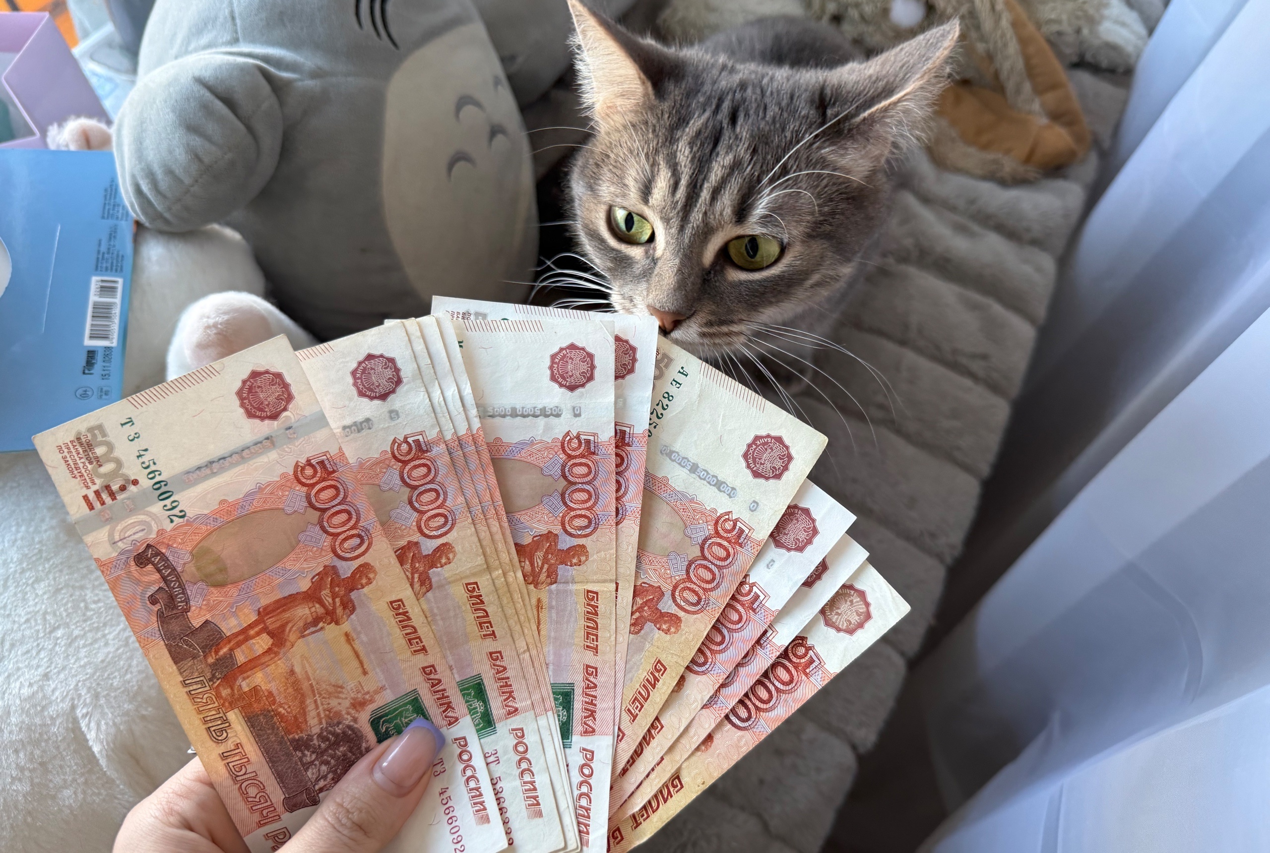  ������ �������� ������ ����� 700 ������ ������� 