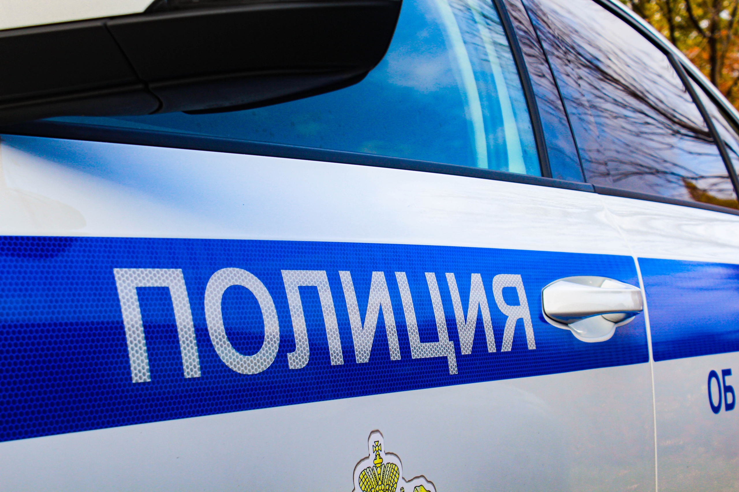 ����: pg13.ru