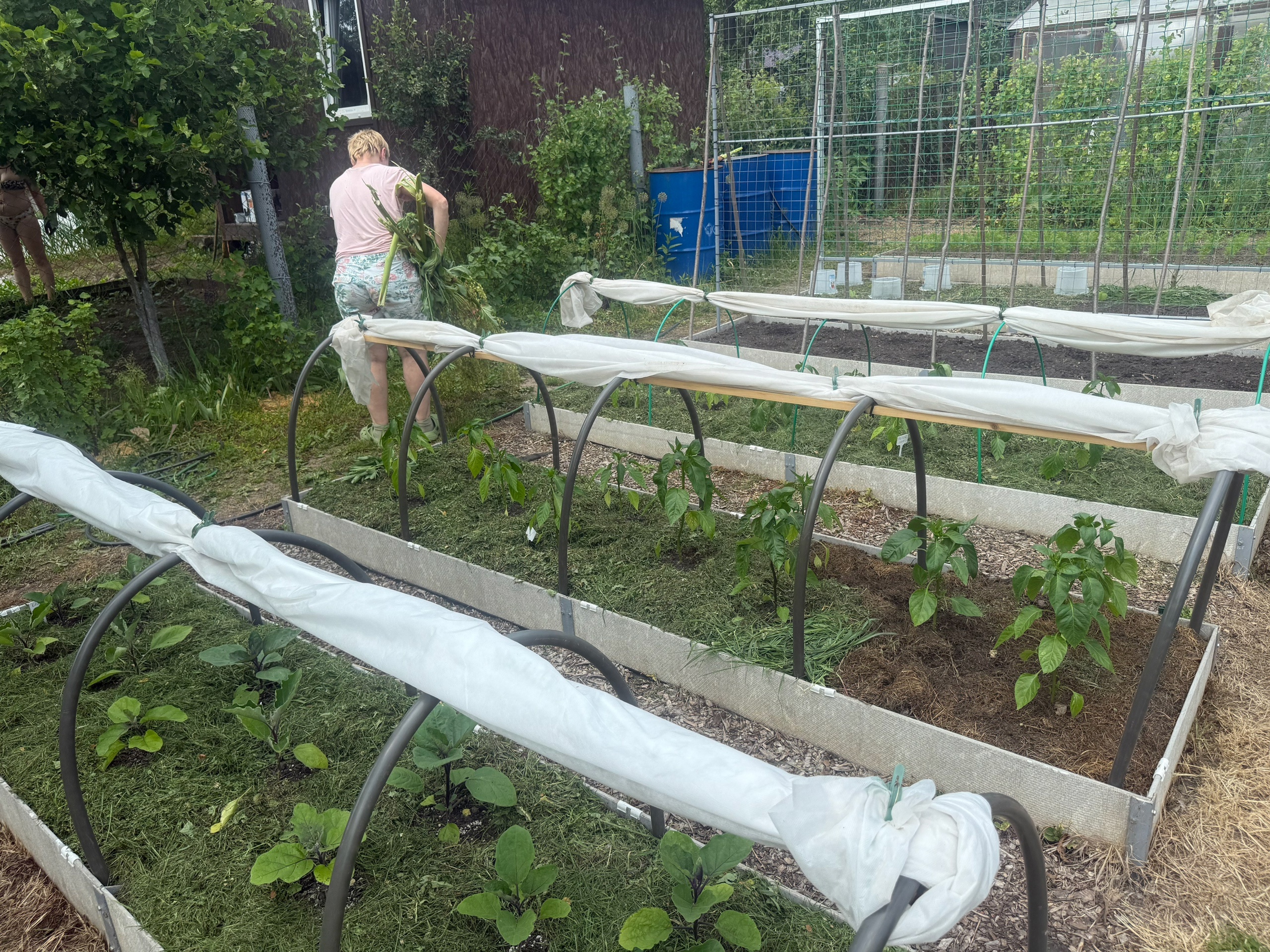  �������� ���� ������� ������ ��������� ������ 