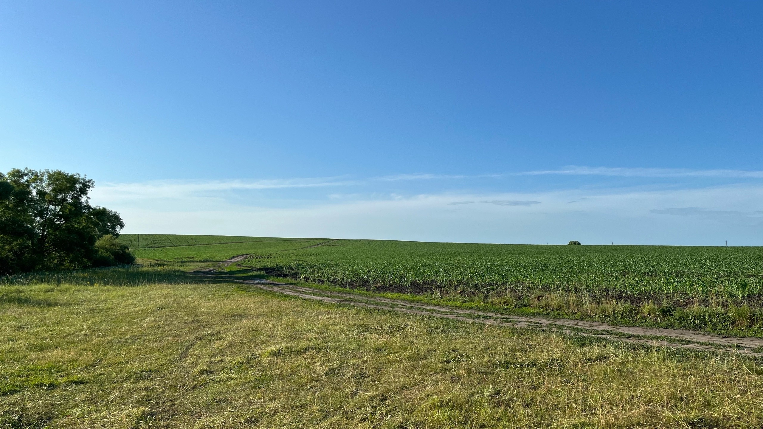 ����: pg13.ru