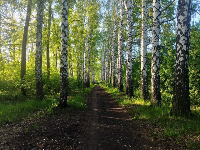  ����� �������� �������� ������������� ���� �������� 