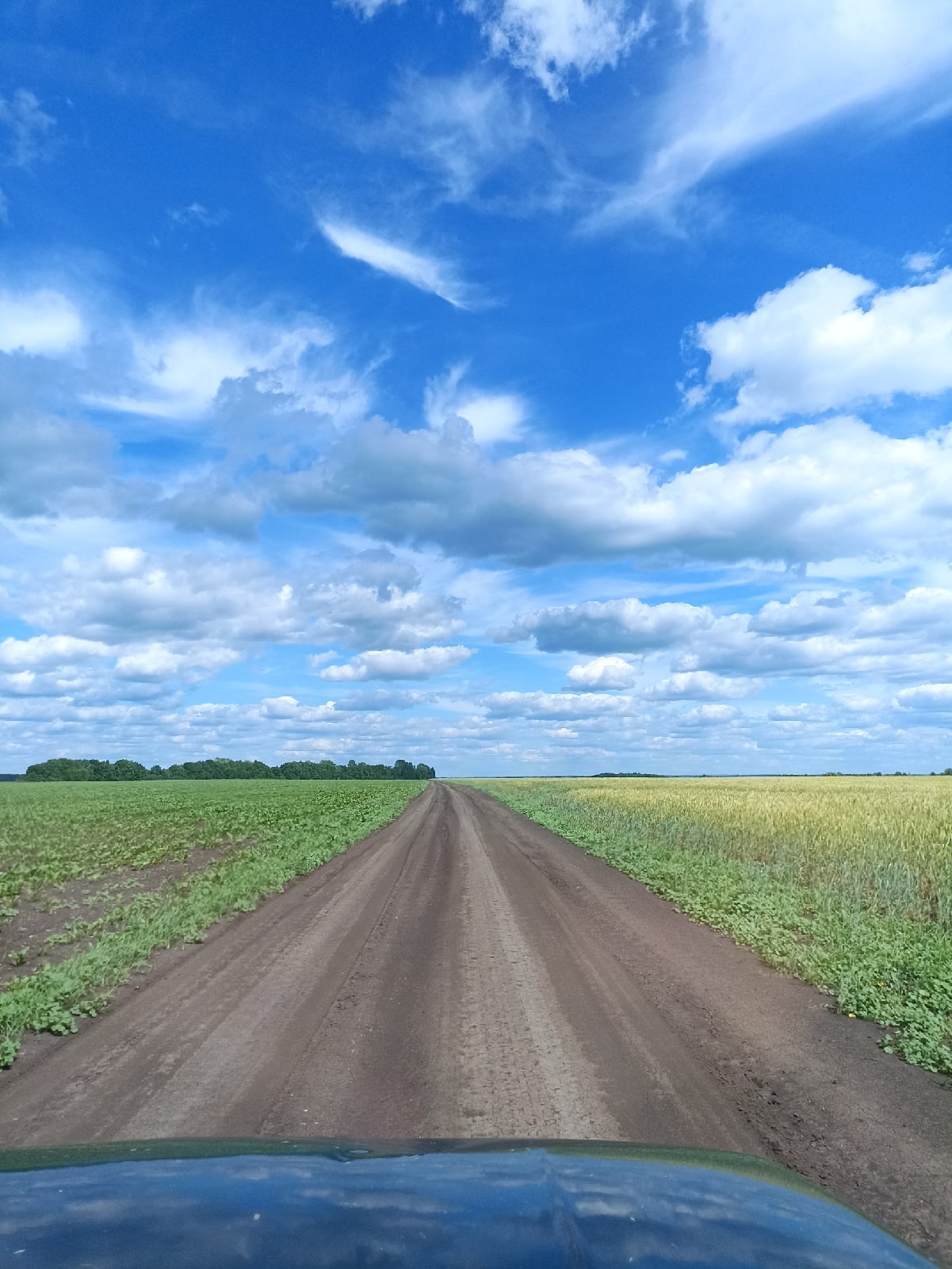 ����: pg13.ru