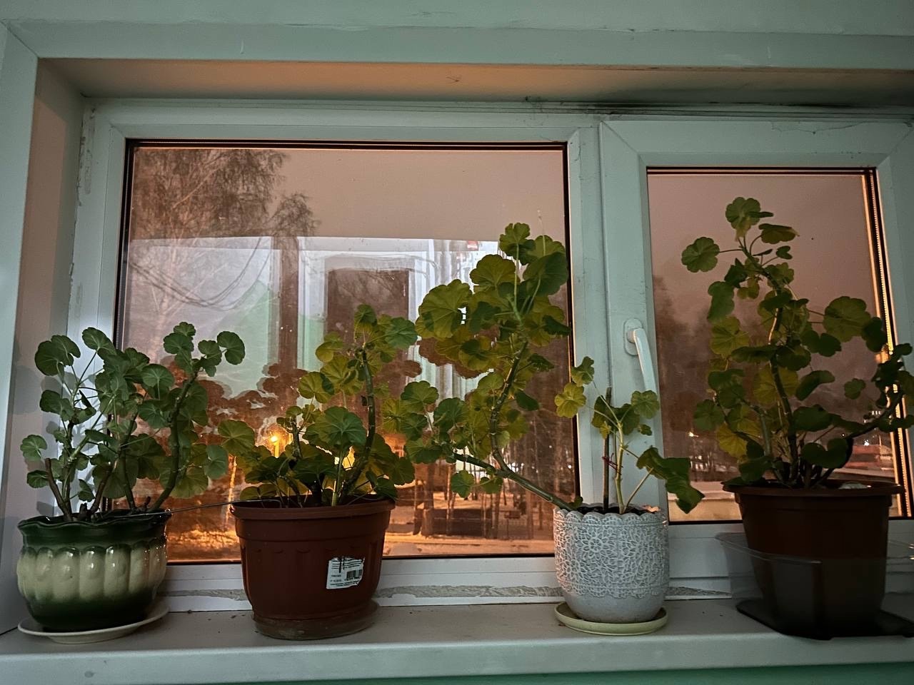  ���������� ���� �������� ��������-������� ������� 