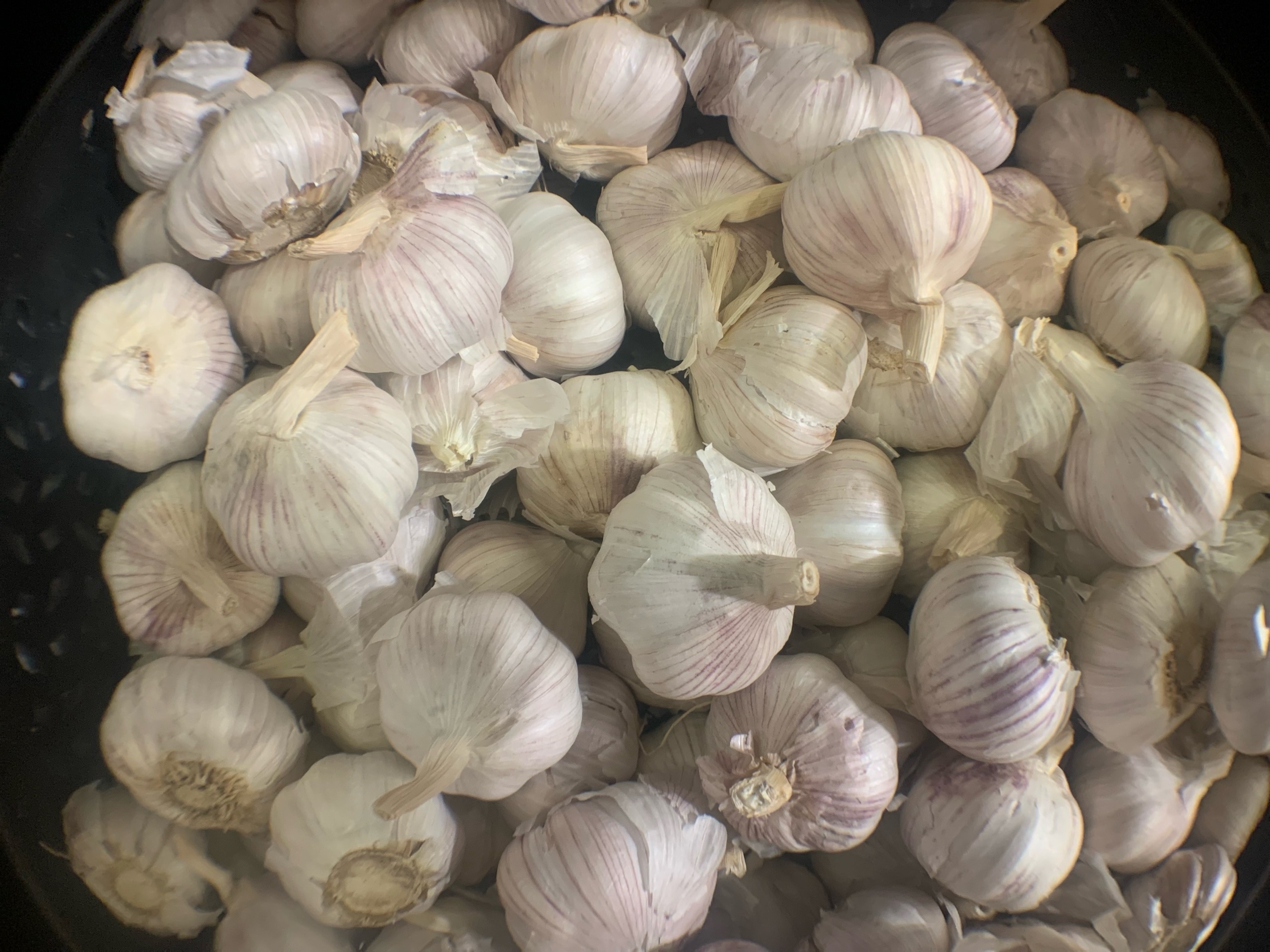  ������ ����� ������ ������ ����� ����� ��������� ������ 