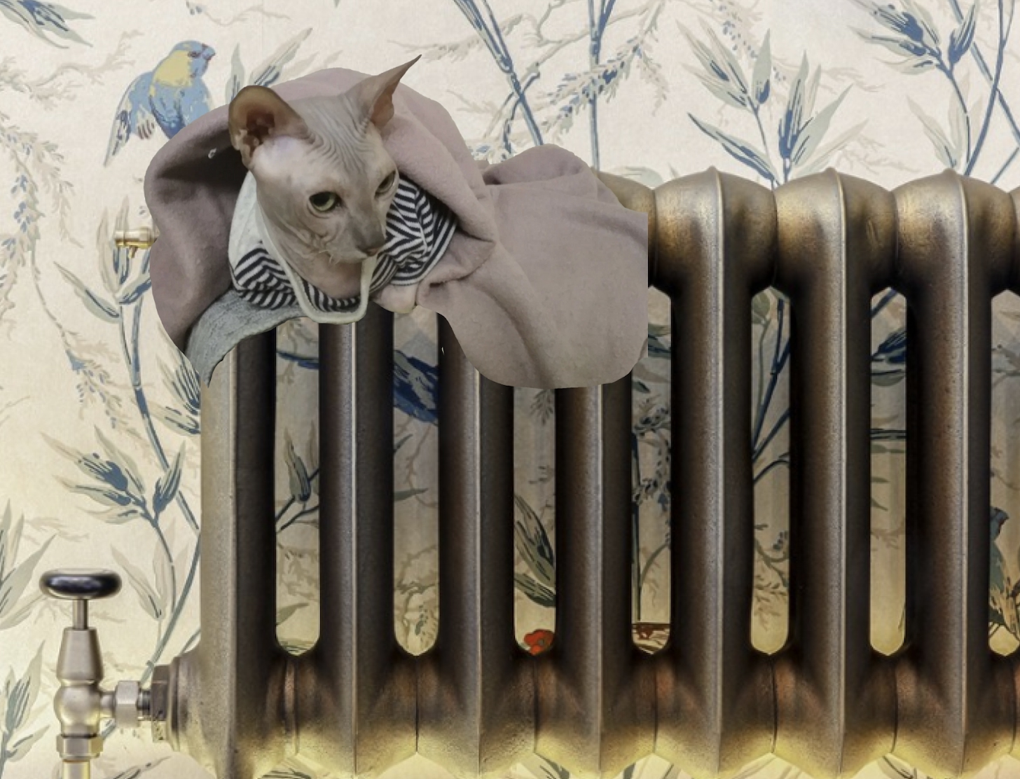  �������� ����� ������ ������������� ������ 