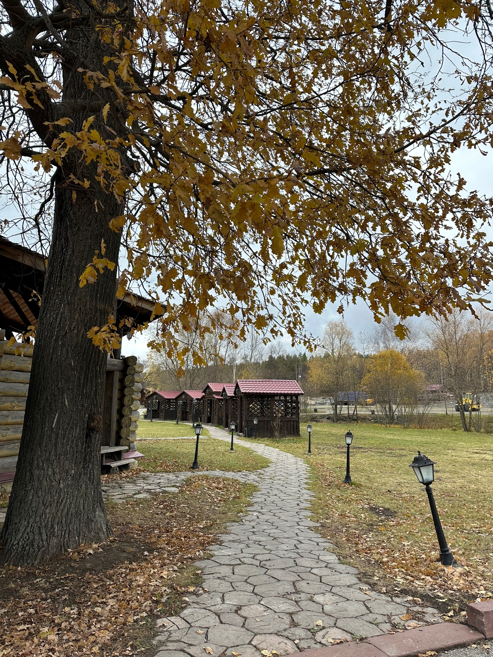  ����������� ���������� ������ �������� ������ ����� ������� ������ 