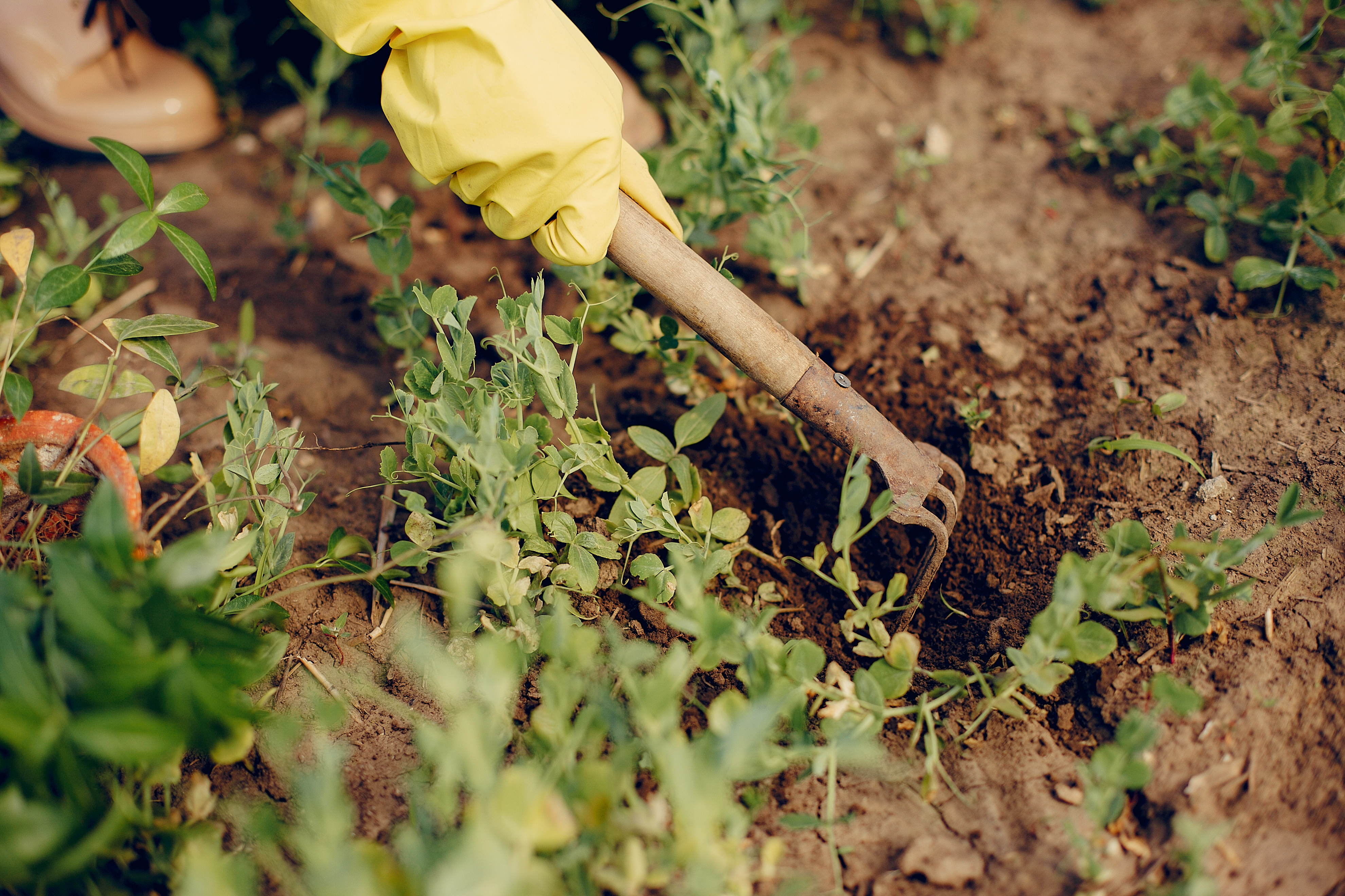  ��������� ������ ������ ����� ������� ����� ������ 